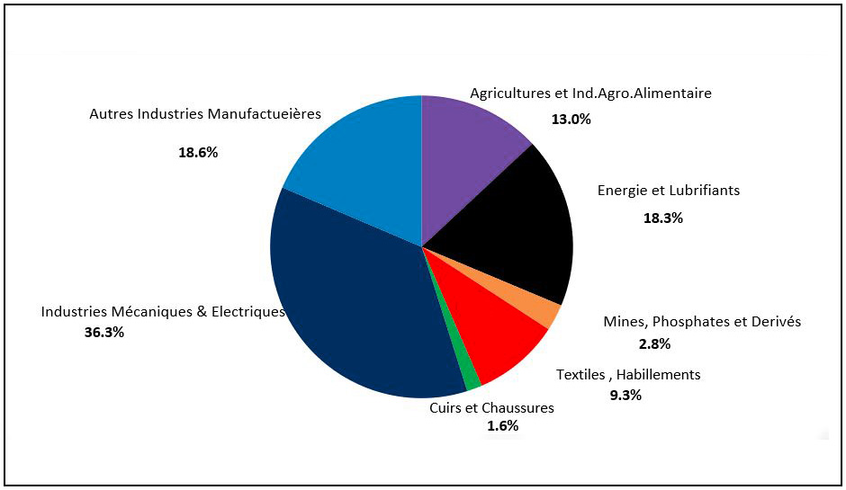 Répartition Des Importations Par Secteurs D’Activités Durant La Période ...